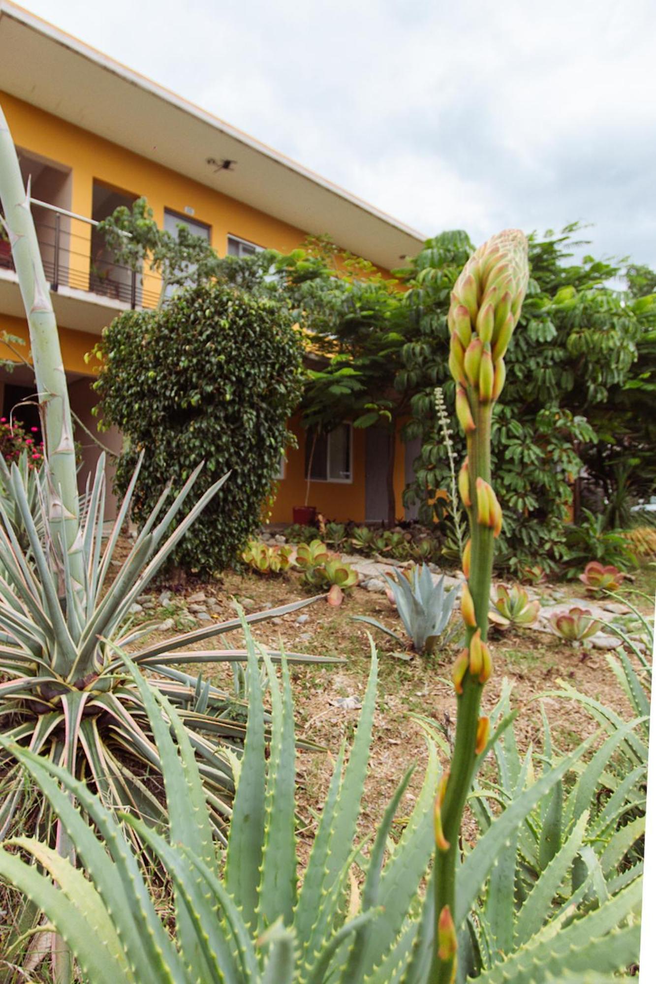 Hotel Guiva San Pablo Hacienda Blanca 外观 照片
